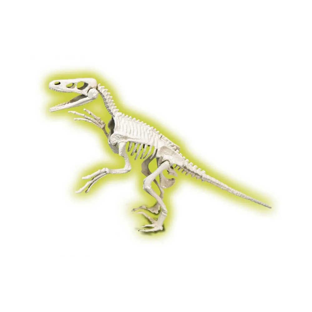 SKAMIENIAŁOŚCI RAPTOR NAUKOWA ZABAWA APLIKACJA ANDROIDG2