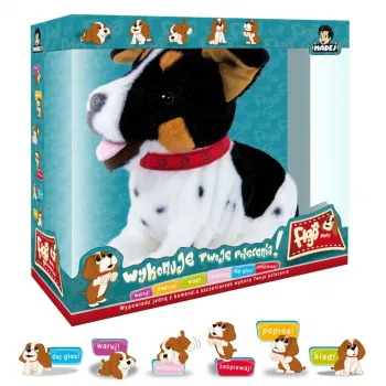 Figo Terier madry szczeniaczek wykonuje poleceniaG2