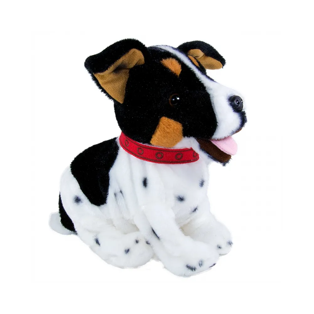 Figo reaguje na polecenia i komendy