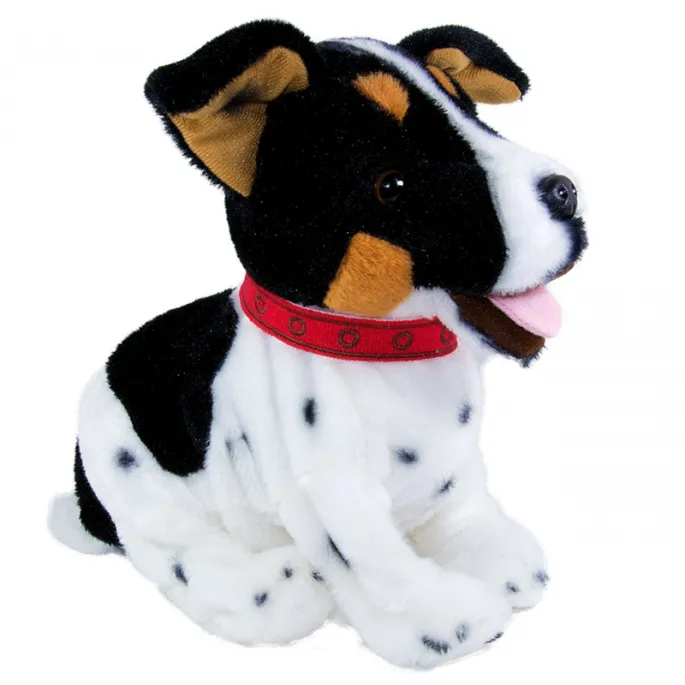 Figo reaguje na polecenia i komendy