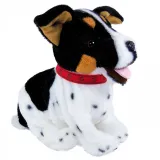 Figo reaguje na polecenia i komendy