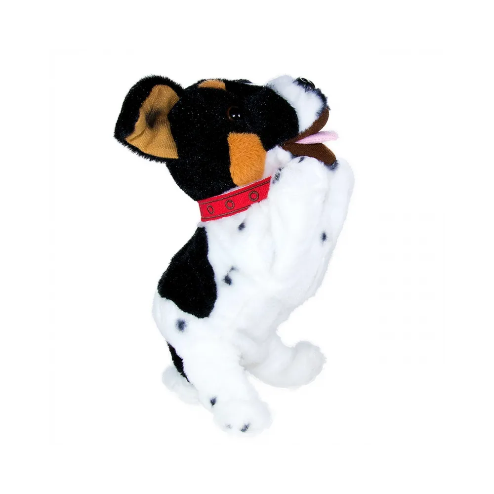 Radosny piesek Figo do nauki i zabawy