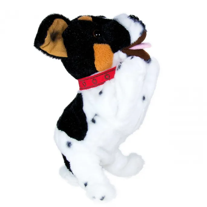 Radosny piesek Figo do nauki i zabawy