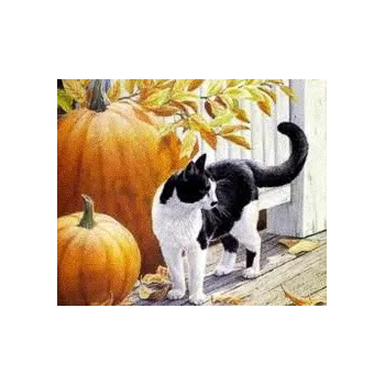 Diamentowa mozaika śliczny kotekCZ