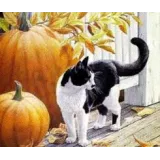 Diamentowa mozaika śliczny kotekCZ