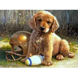 Diamentowa mozaika Piesek Haft DiamentowyCZ