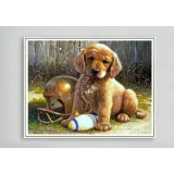 Diamentowa mozaika Piesek Haft DiamentowyCZ