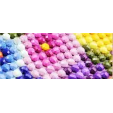 Diamentowa mozaika Haft Diamentowy SowaCZ