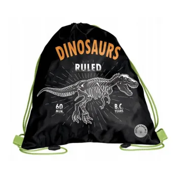 Worek szkolny na obuwie Dinozaur PASO