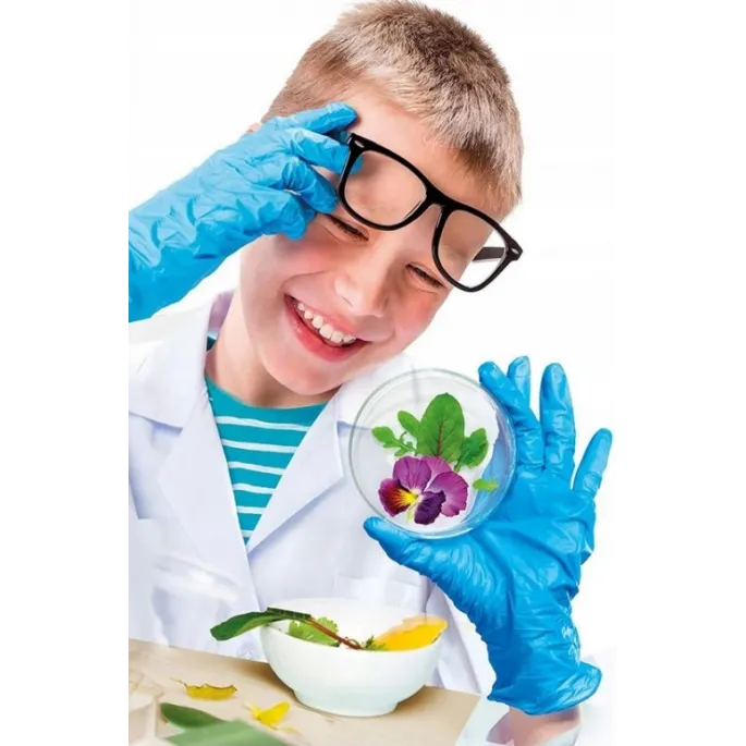 Obserwacje mikroświata z mikroskopem Clementoni