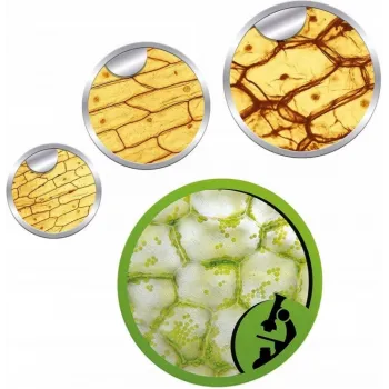 Mikroskop Naukowa Zabawa Clementoni az 50 doświadczeń G3