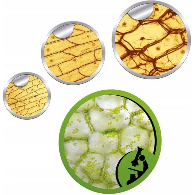 Dziecięcy mikroskop naukowy z ilustrowaną instrukcją