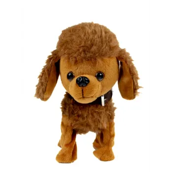 Pudel z wesołą piosenką - świetny pomysł na prezent dla dziecka.