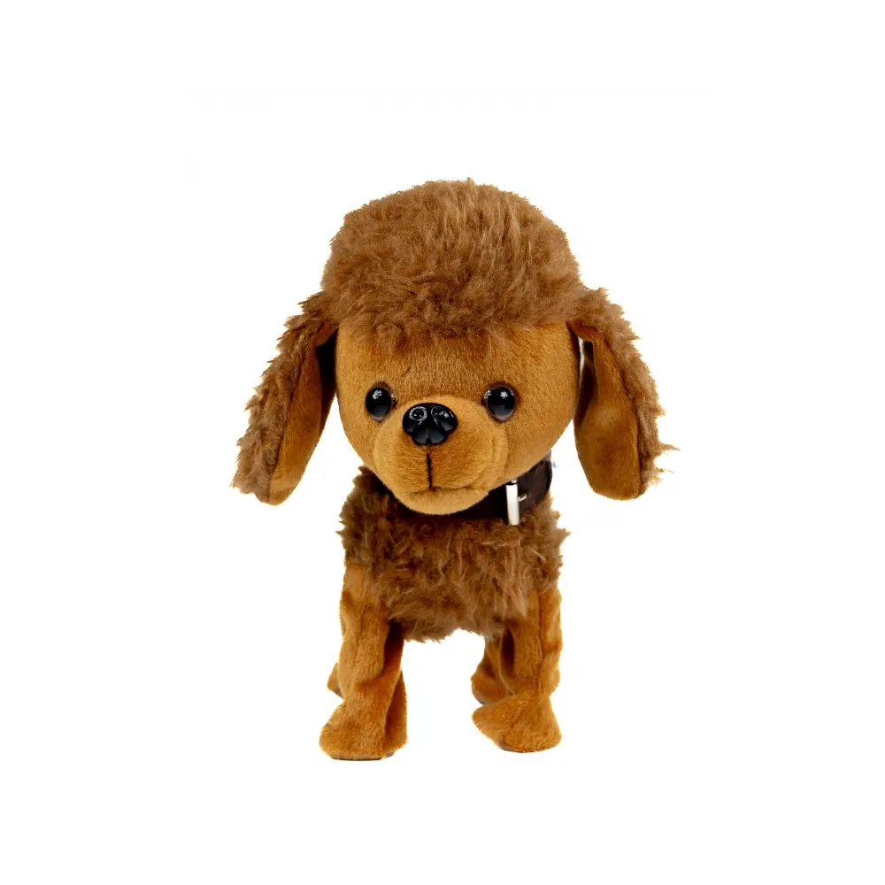 Pudel z wesołą piosenką - świetny pomysł na prezent dla dziecka.