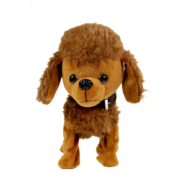 Pudel z wesołą piosenką - świetny pomysł na prezent dla dziecka.