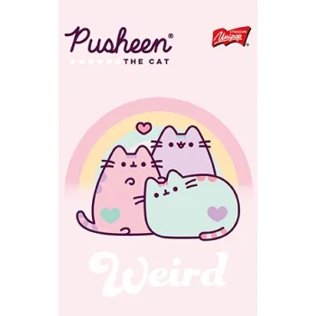 Notes notatnik A6 50 kartek kratka Kot Cat Pusheen
