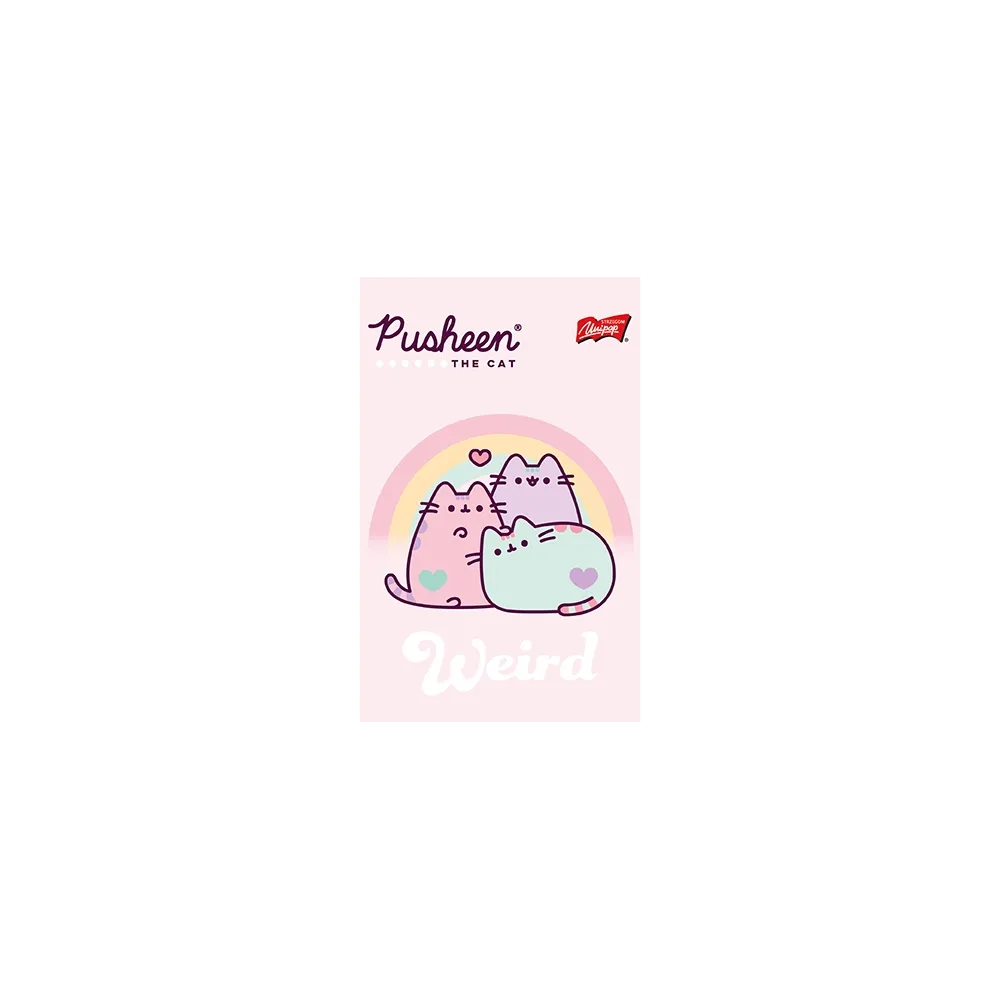 Notes notatnik A6 50 kartek kratka Kot Cat Pusheen