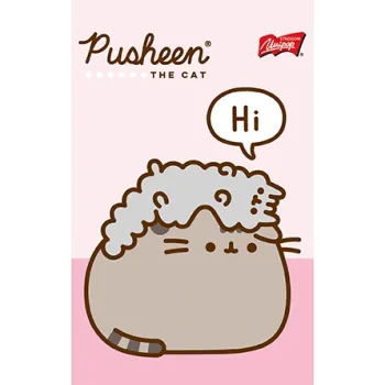 Notes notatnik A6 50 kartek kratka Kot Cat Pusheen