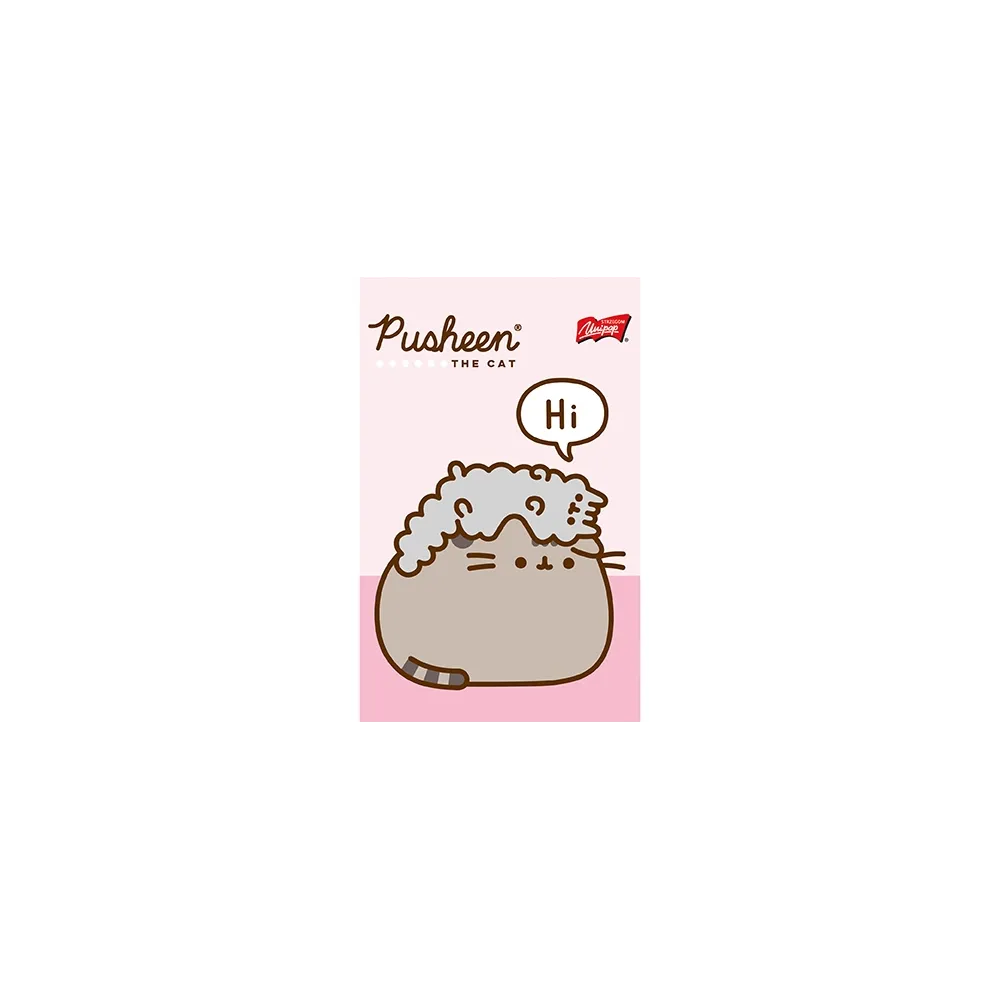 Notes notatnik A6 50 kartek kratka Kot Cat Pusheen