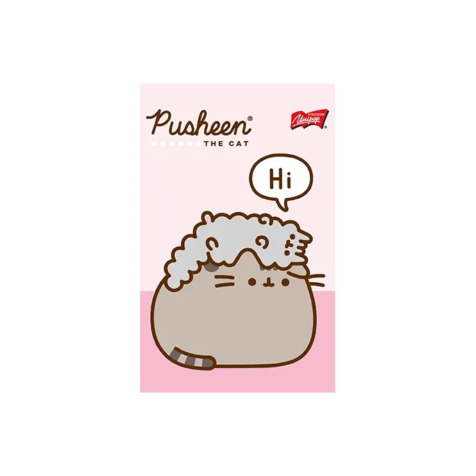 Poręczny notes A6 z motywem kota Pusheen