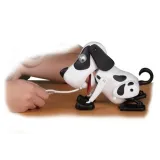 Zabawa z pieskiem Bailey, który zasypia pod wpływem głaskania