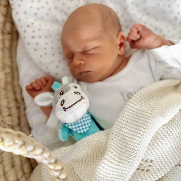 Piszczałka w pluszowym osiołku dla maluchów