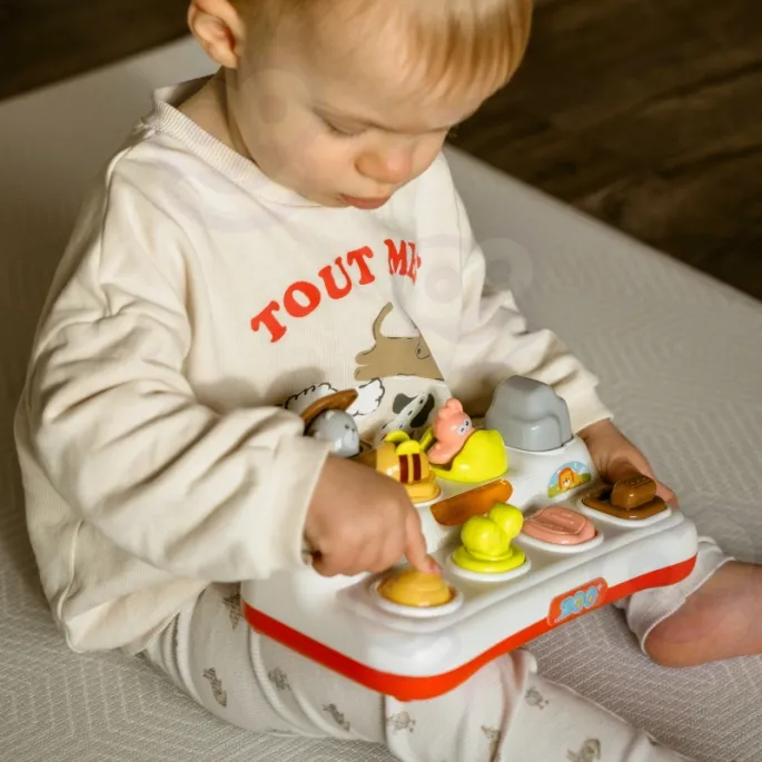 Zwierzątka pop-up w zabawnej formie