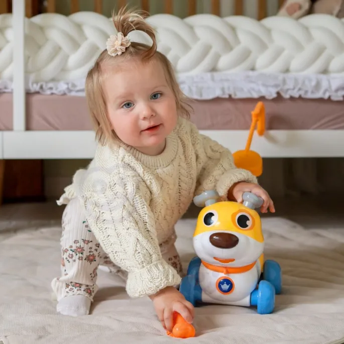 Zabawny piesek, który szczeka i porusza się na kółkach.