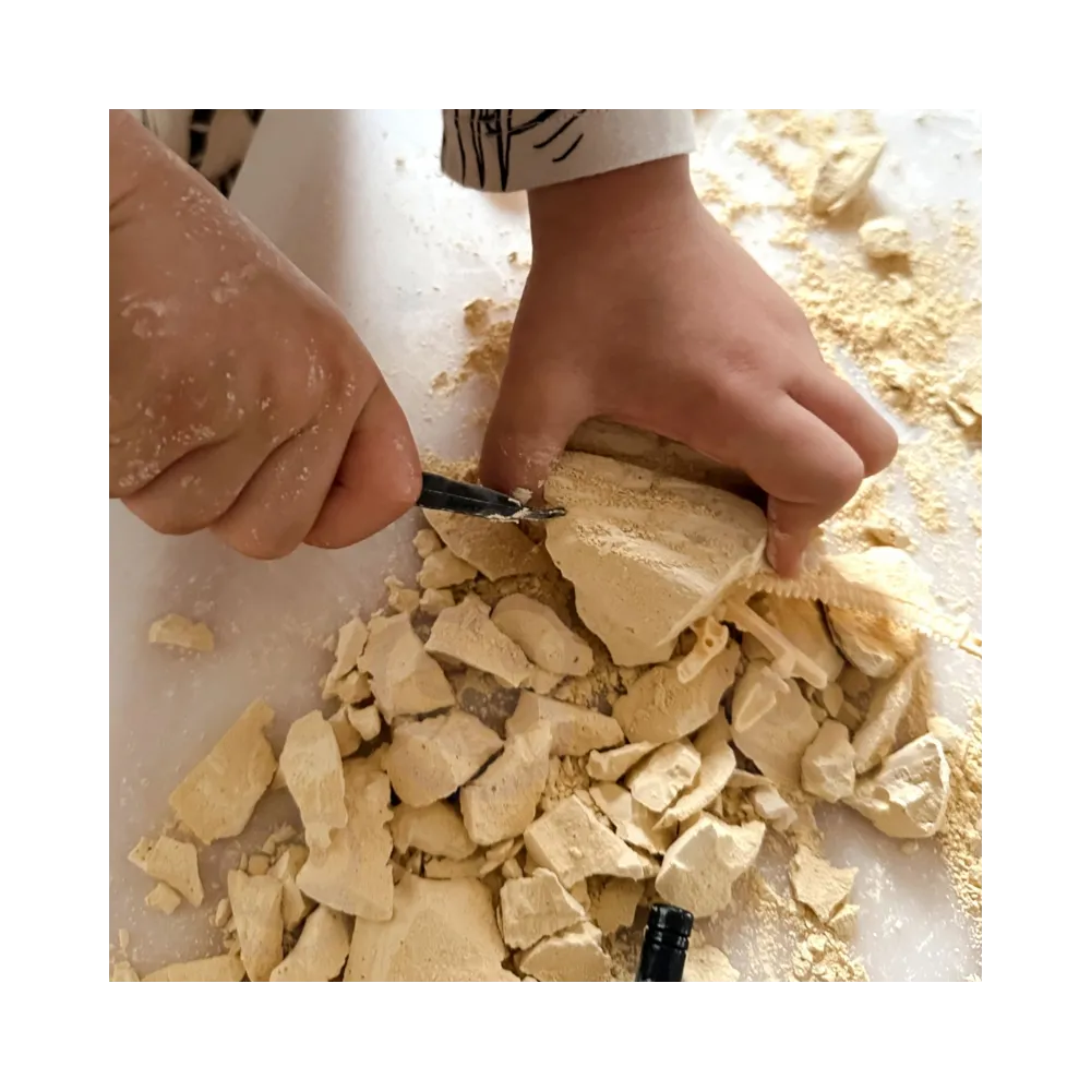 WOOPIE Zabawka Kreatywna Dinozaur Szkielet Wykopalisko Archeologiczne