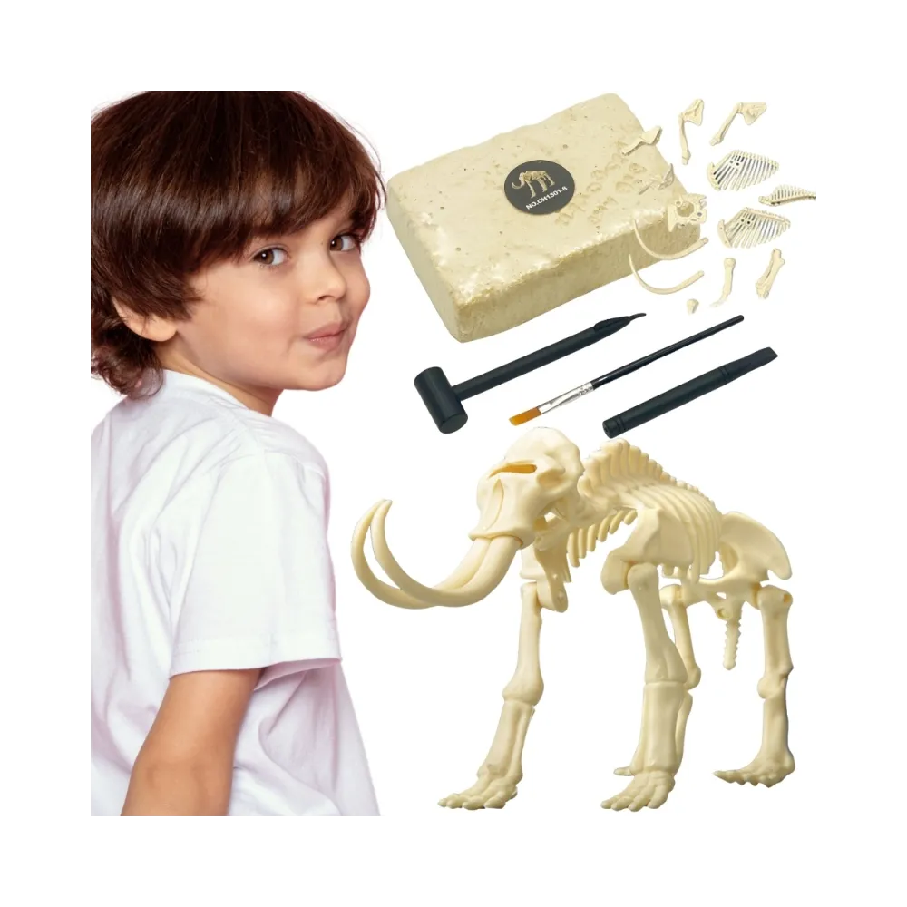 WOOPIE Zabawka Kreatywna Dinozaur Szkielet Wykopalisko Archeologiczne