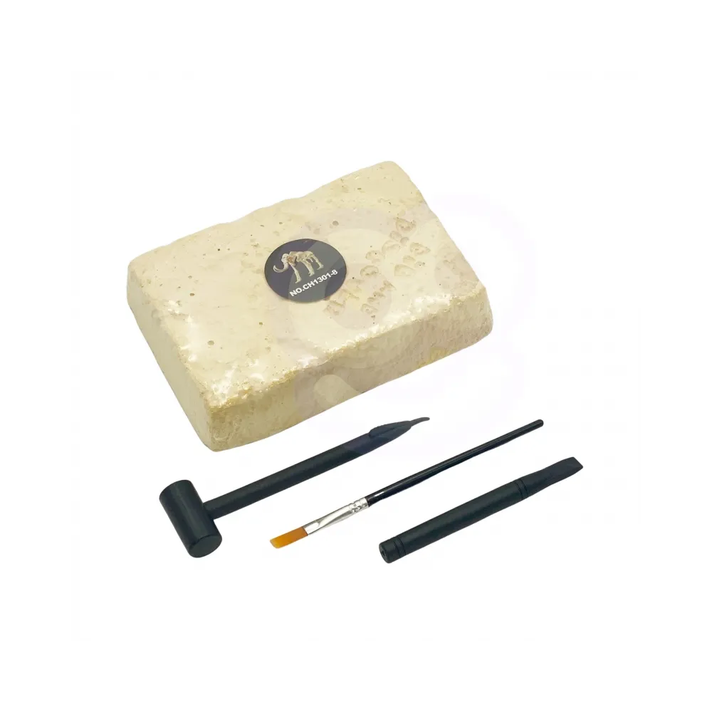 WOOPIE Zabawka Kreatywna Dinozaur Szkielet Wykopalisko Archeologiczne