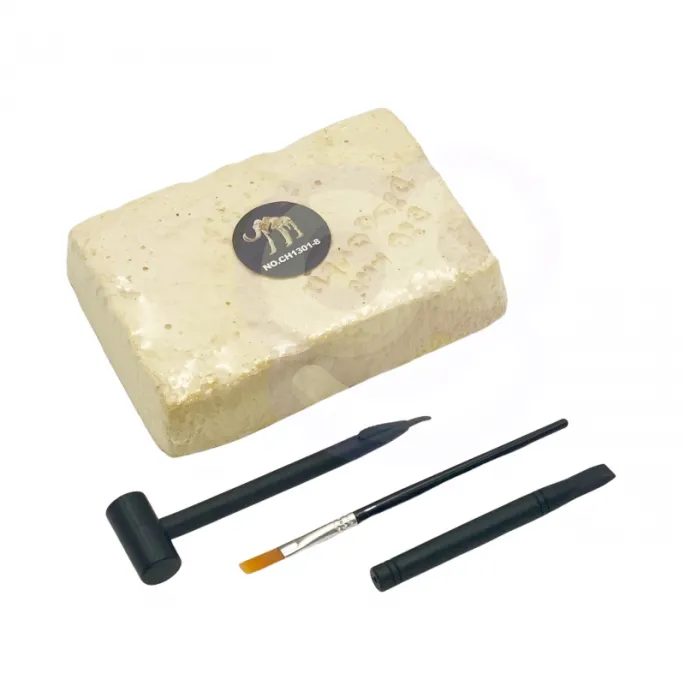 Blok skalny z ukrytym szkieletami mamuta do wykopania.