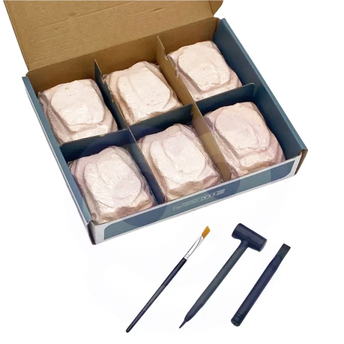 Dziecko składa model 3D szkieletu mamuta z zestawu.