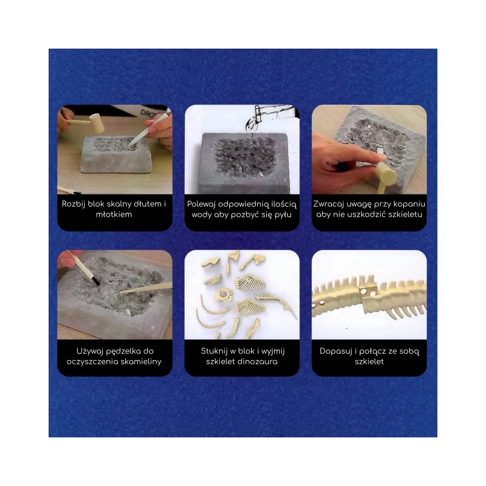 WOOPIE Zabawka Kreatywna Dinozaur Szkielet Wykopalisko Archeologiczne