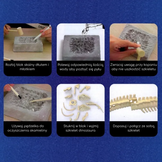 Archeologiczne przygody dla młodych badaczy z WOOPIE.