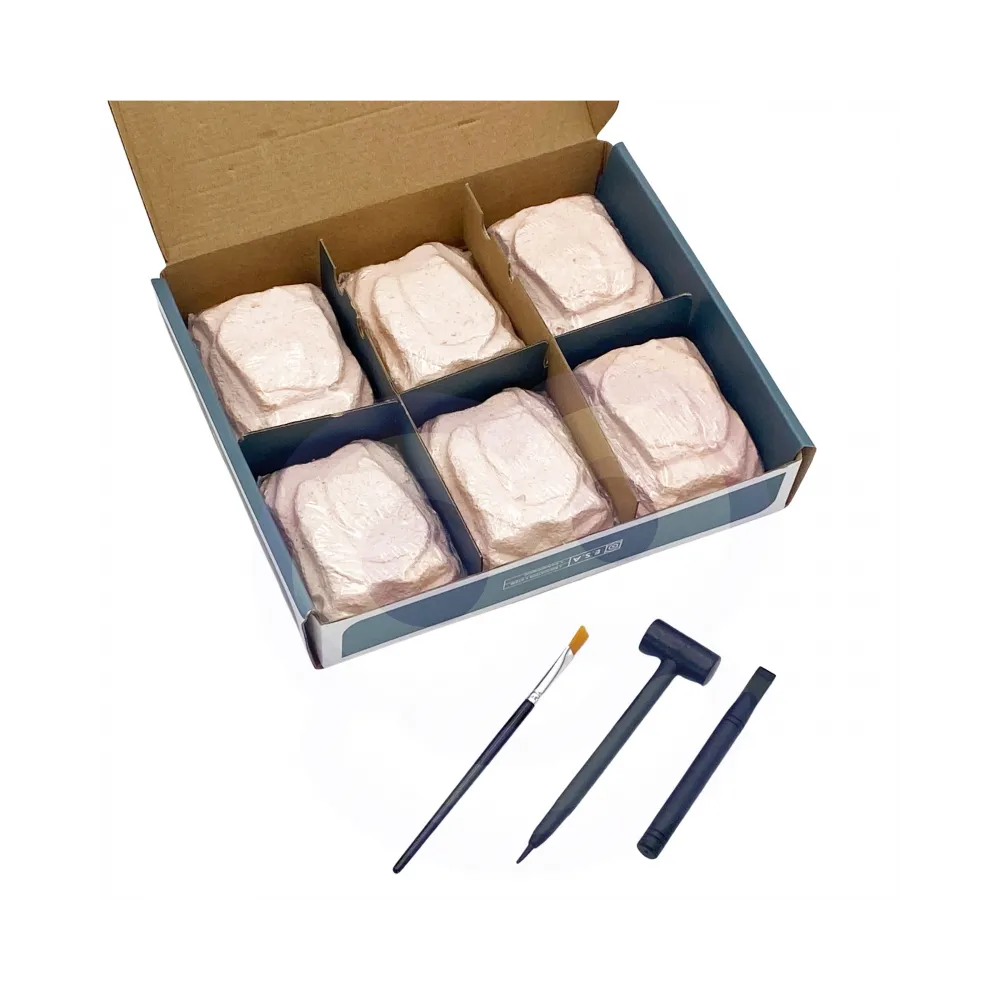 WOOPIE Wykopaliska Dinozaurów 6 Losowych Figurek Szkieletów Dinozaurów