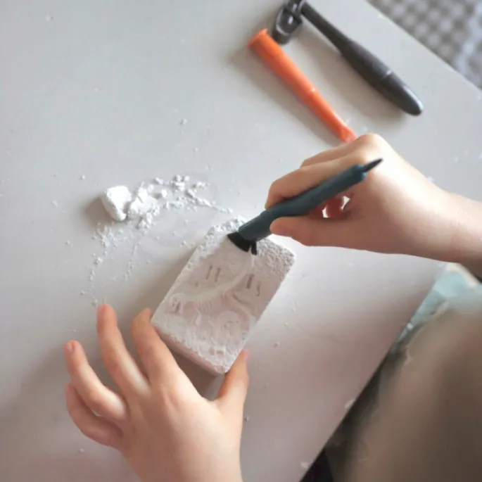 Gipsowe bloki z ukrytymi szkieletami dinozaurów