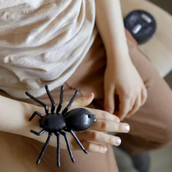 Pająk WOOPIE - doskonały do psikusów