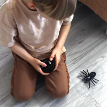 Realistyczny pająk poruszający się do przodu