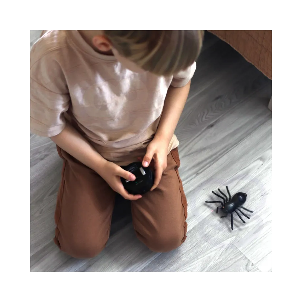 Realistyczny pająk poruszający się do przodu