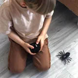 Realistyczny pająk poruszający się do przodu