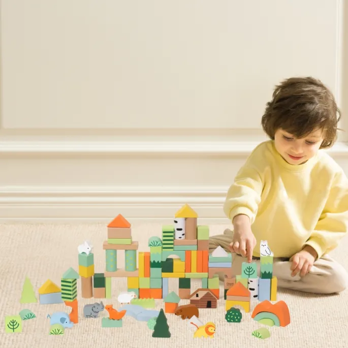 Zestaw 100 kolorowych klocków w przyjaznym dla natury stylu