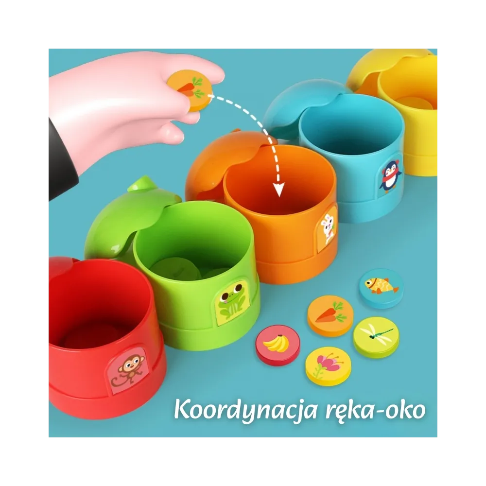WOOPIE Gra Logiczna Edukacyjna Sorter Klasyfikacja Kolorów