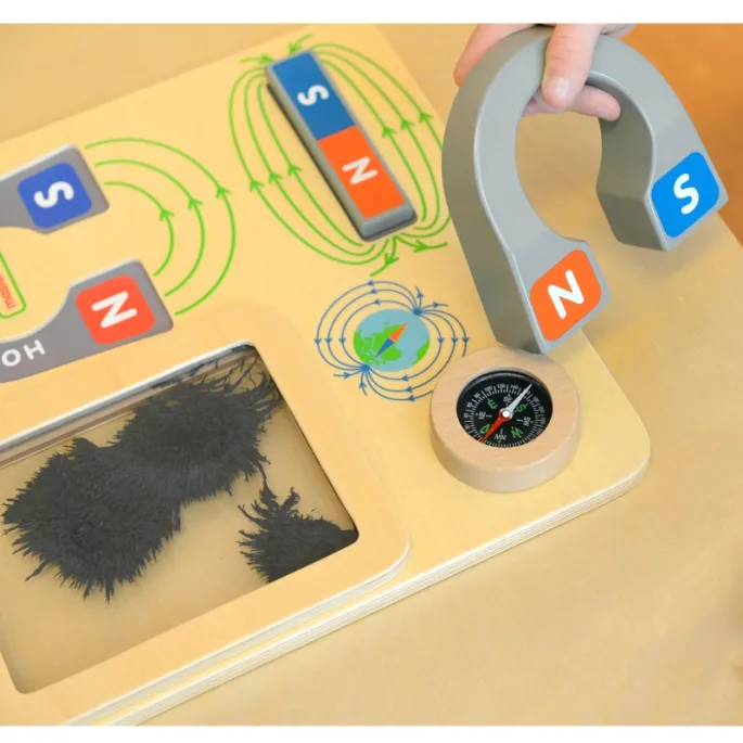 Obserwacja linii magnetycznych z opiłkami żelaza.