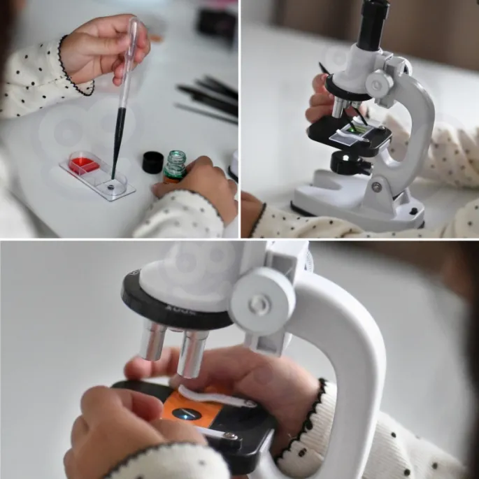 Filtry kolorowe w mikroskopie WOOPIE zwiększają kontrast