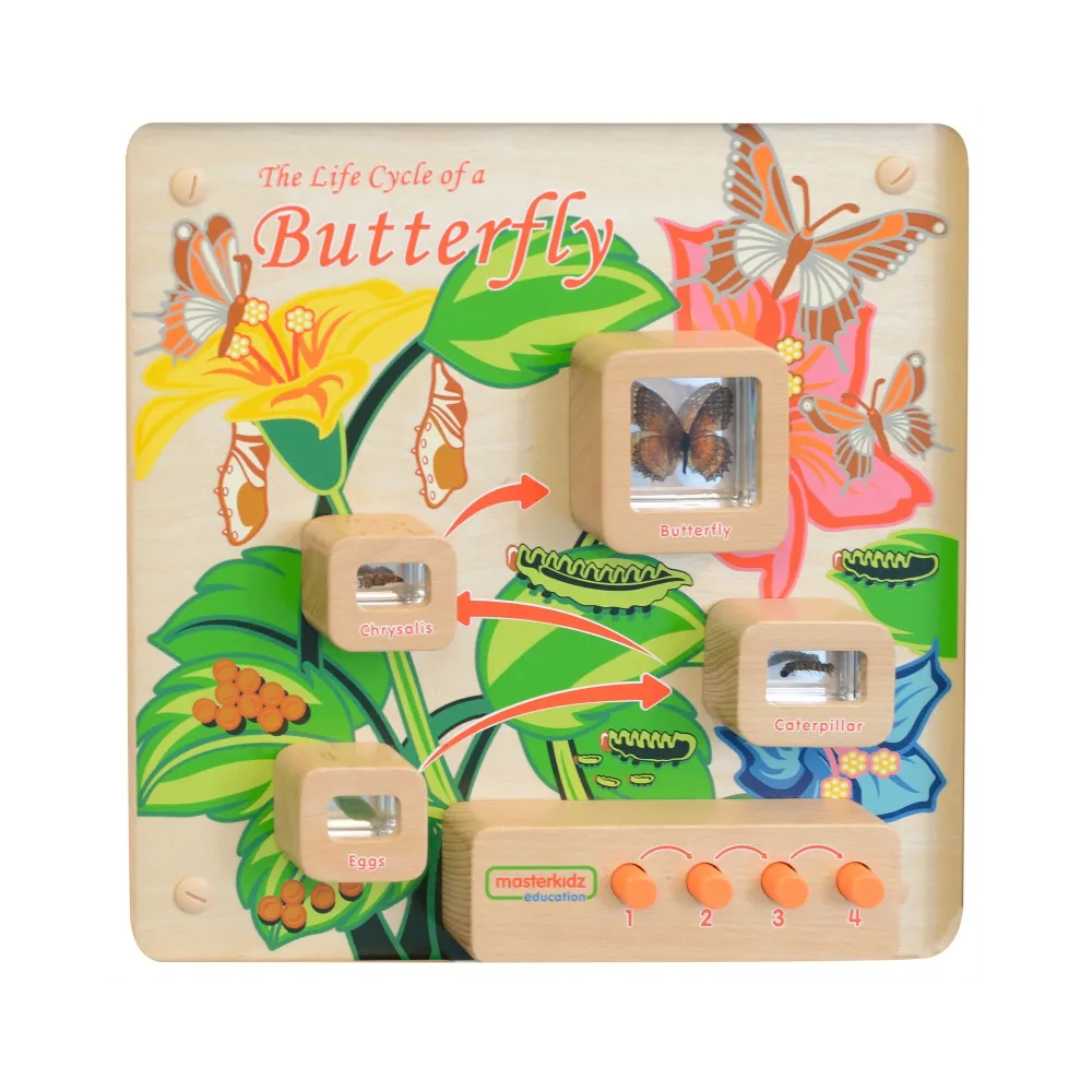 MASTERKIDZ Tablica Edukacyjna Ścienna Cykl Życia Motylka