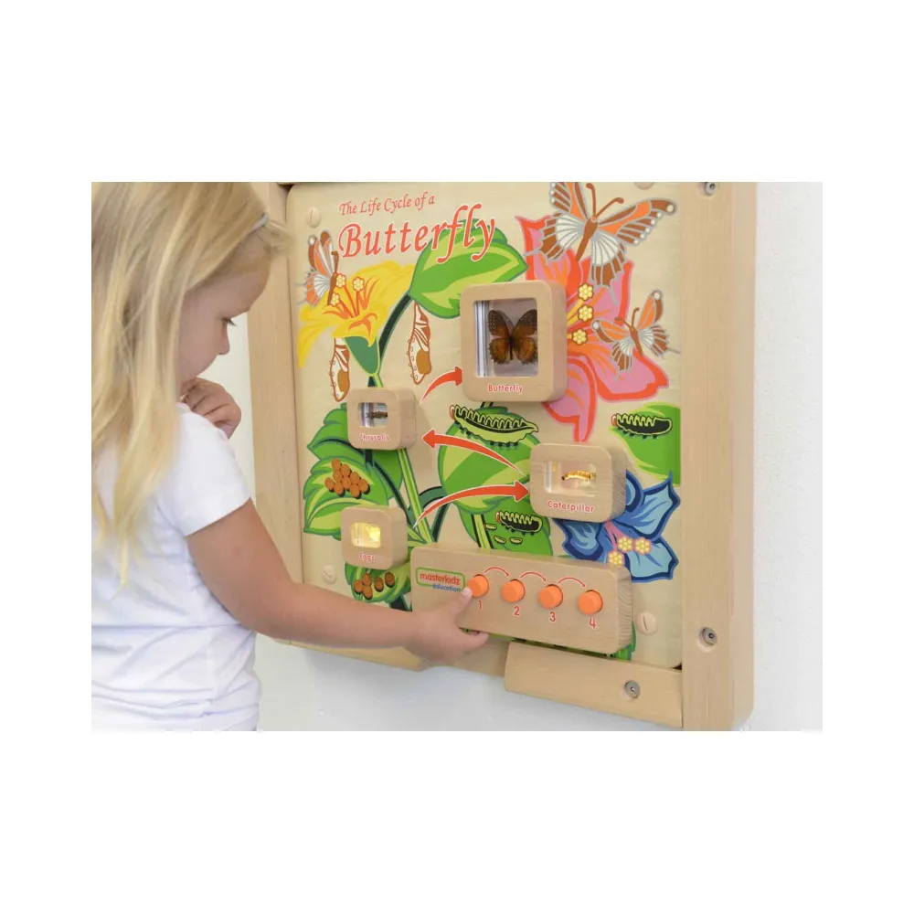 MASTERKIDZ Tablica Edukacyjna Ścienna Cykl Życia Motylka