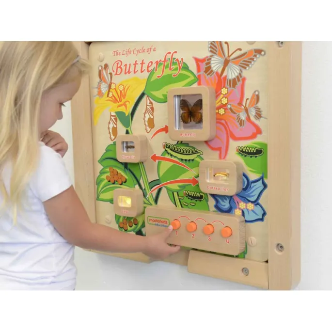 Edukacyjna tablica z ilustracjami motylków i kwiatów