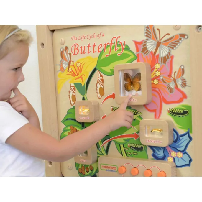 Ścienna tablica do nauki o motylach dla przedszkolaków