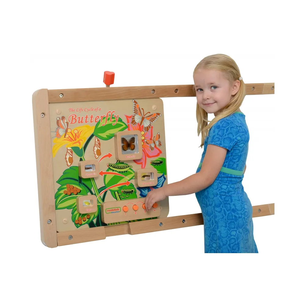 MASTERKIDZ Tablica Edukacyjna Ścienna Cykl Życia Motylka